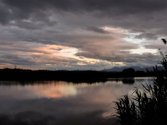 Voci dalla Laguna, Marina Patteri