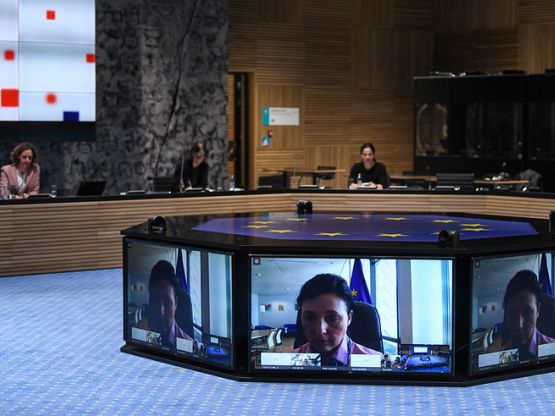 Videoconferenza Consiglio, foto European Union
