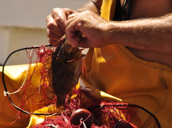 Pesca artigianale all'Asinara