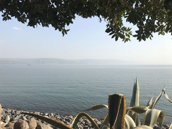 Mar di Galilea, foto immyung pixabay