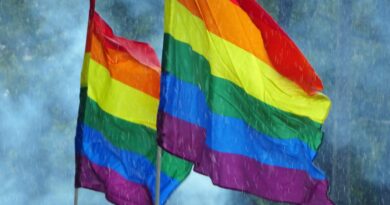 LGBTIQ+, Foto di Corinna Behrens da Pixabay