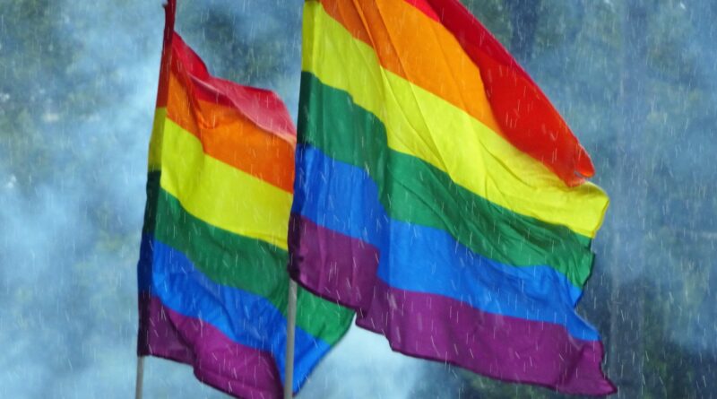 LGBTIQ+, Foto di Corinna Behrens da Pixabay