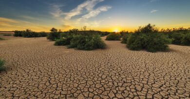 desertificazione, Foto di Jose Antonio Alba da Pixabay