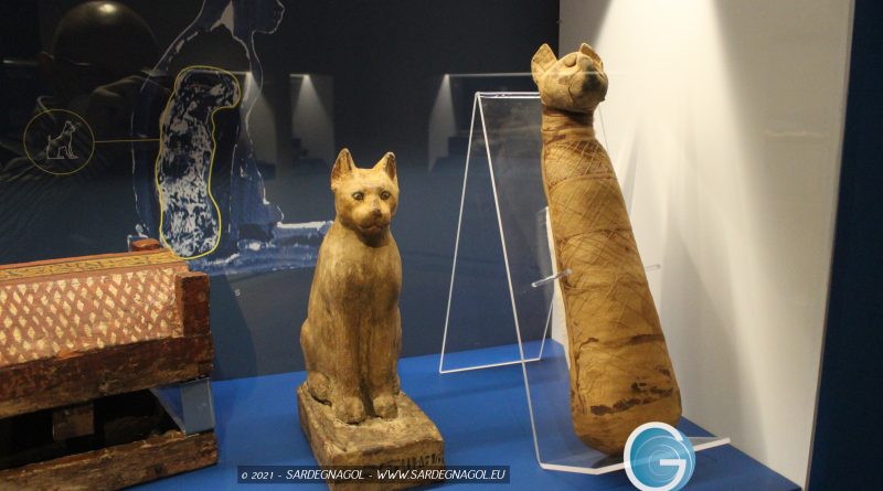 Mummie animali, foto Sardegnagol riproduzione riservata