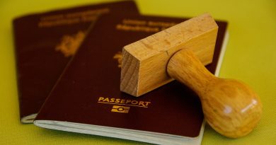 Passaporto, foto jackmac34 da Pixabay