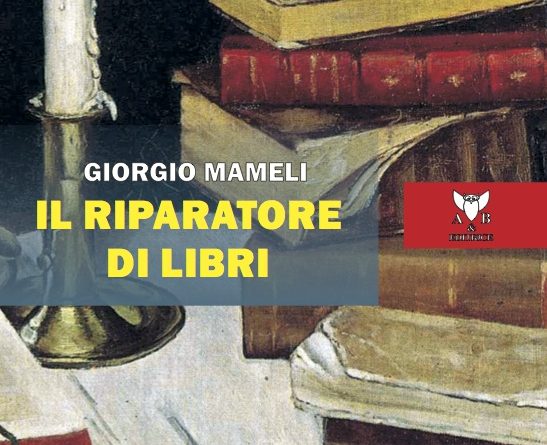 Copertina de "Il riparatore di libri" di Giorgio Mameli
