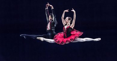 Balletto, foto Dominique Jaussein