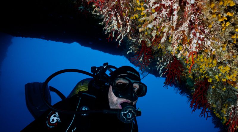 Mortalità corallo mediterraneo, foto MME T-MEDNet