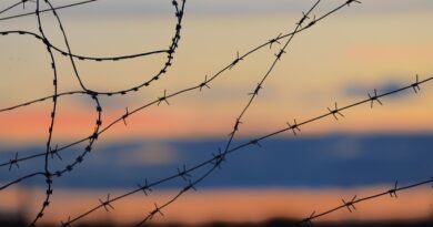 barbed wire fence, foto di Антон Дмитриев on Unsplash