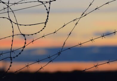 barbed wire fence, foto di Антон Дмитриев on Unsplash