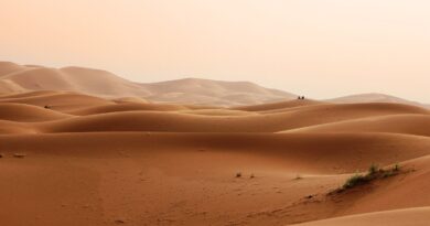 Deserto, foto Greg Montani da Pixabay