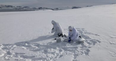 Campionamento sulla neve, foto F. Scoto, CNR - Unive