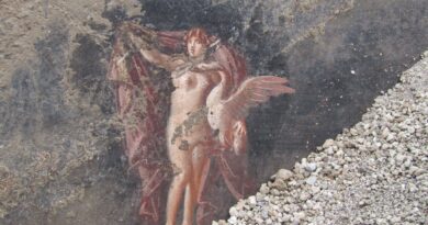 Affreschi salone nero, Foto © Parco Archeologico di Pompei
