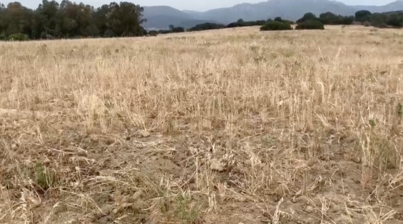 Agricoltura, foto Coldiretti