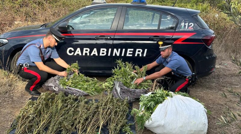 Carabinieri