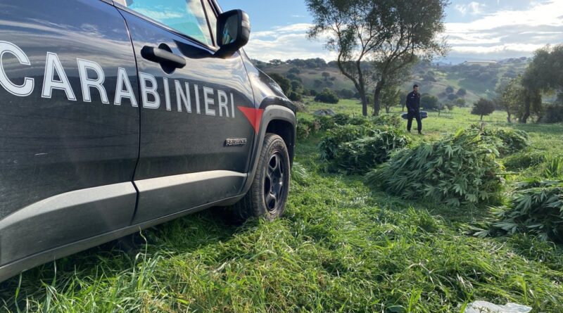 Carabinieri